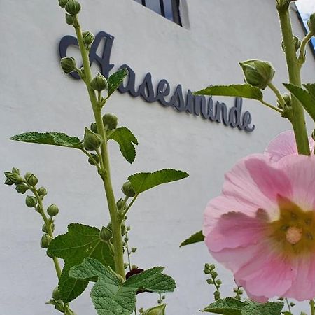 Aasesminde Bed & Breakfast Faborg Ngoại thất bức ảnh